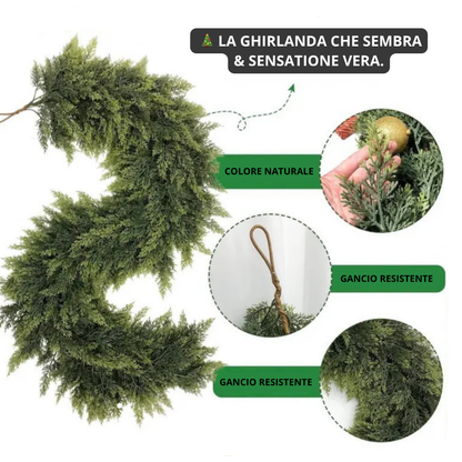 Fixoroo™  Ghirlande di cedro